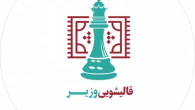 لوگو قالیشویی وزیر